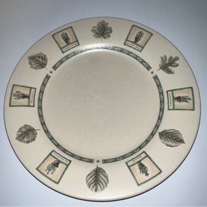 COPY - Pfaltzgraff Naturewood Dinner Plates